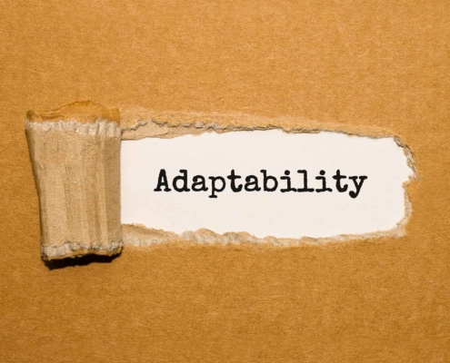 adaptability