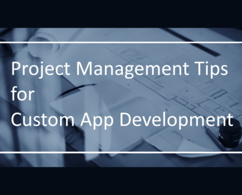 project-management-plans-for-business-including-custom-business-application-4