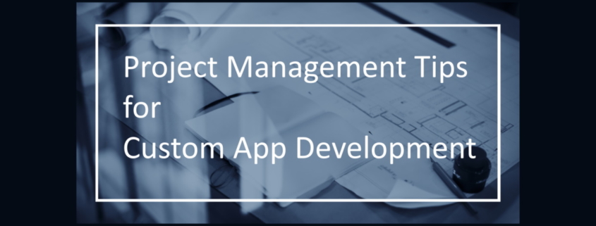 project-management-plans-for-business-including-custom-business-application-4